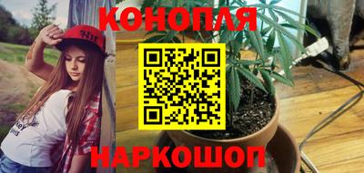 кокс Обь