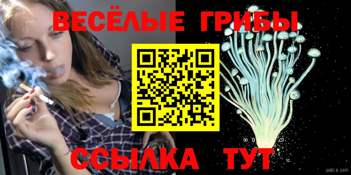 цена наркотик  Псилоцибиновые грибы MAGIC MUSHROOMS  Вход с VPN  Сосновый Бор 