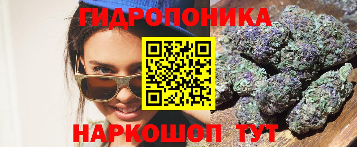 Канабис конопля Сосновый Бор